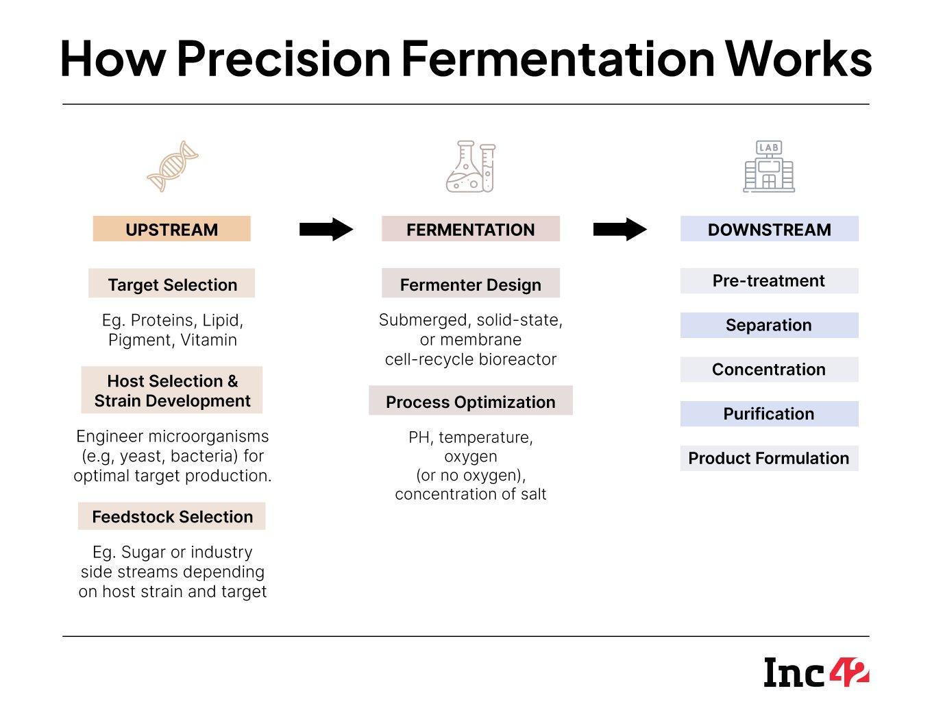 precision fermentation