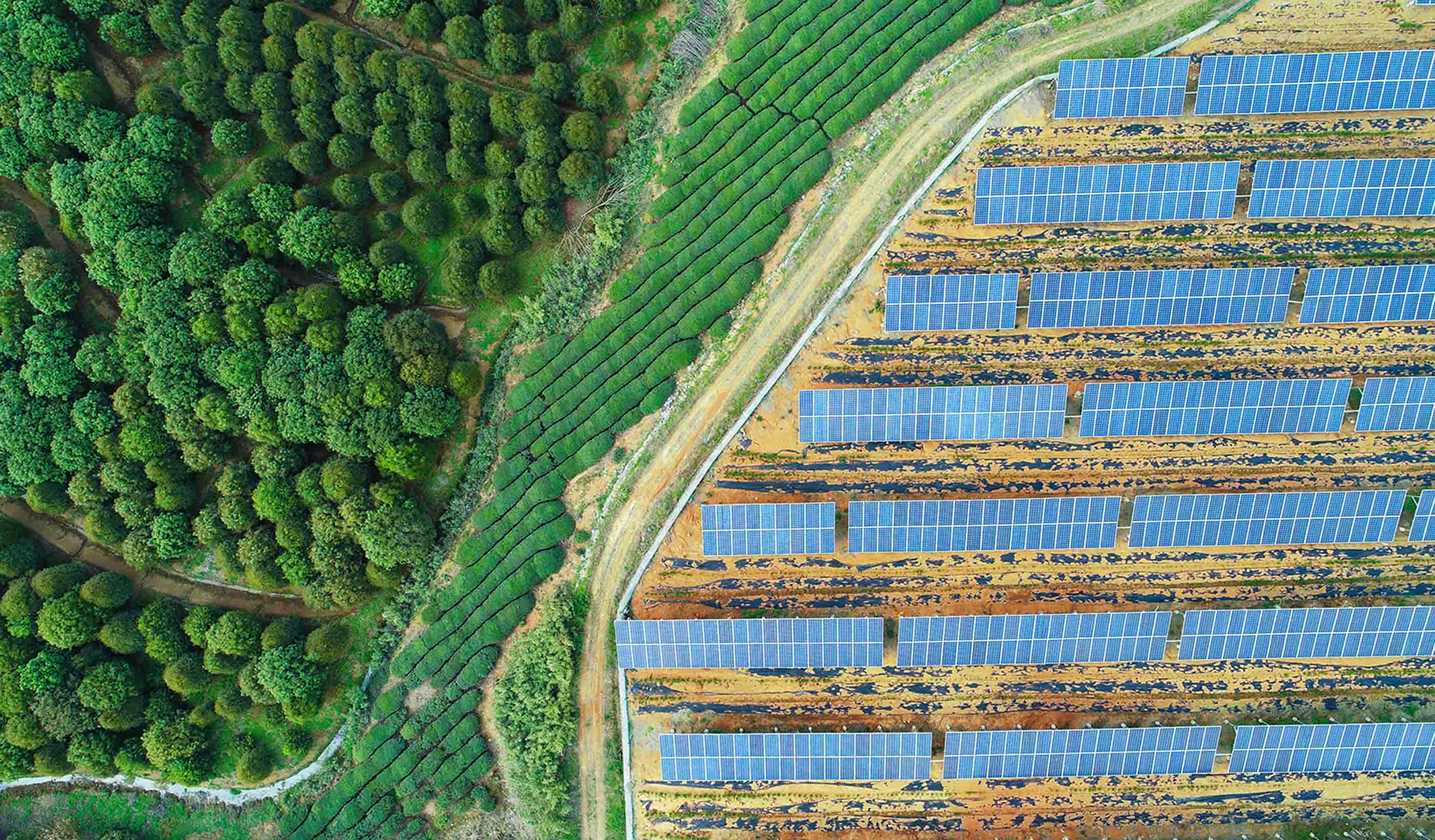 Navigating the distributed energy resources revolution