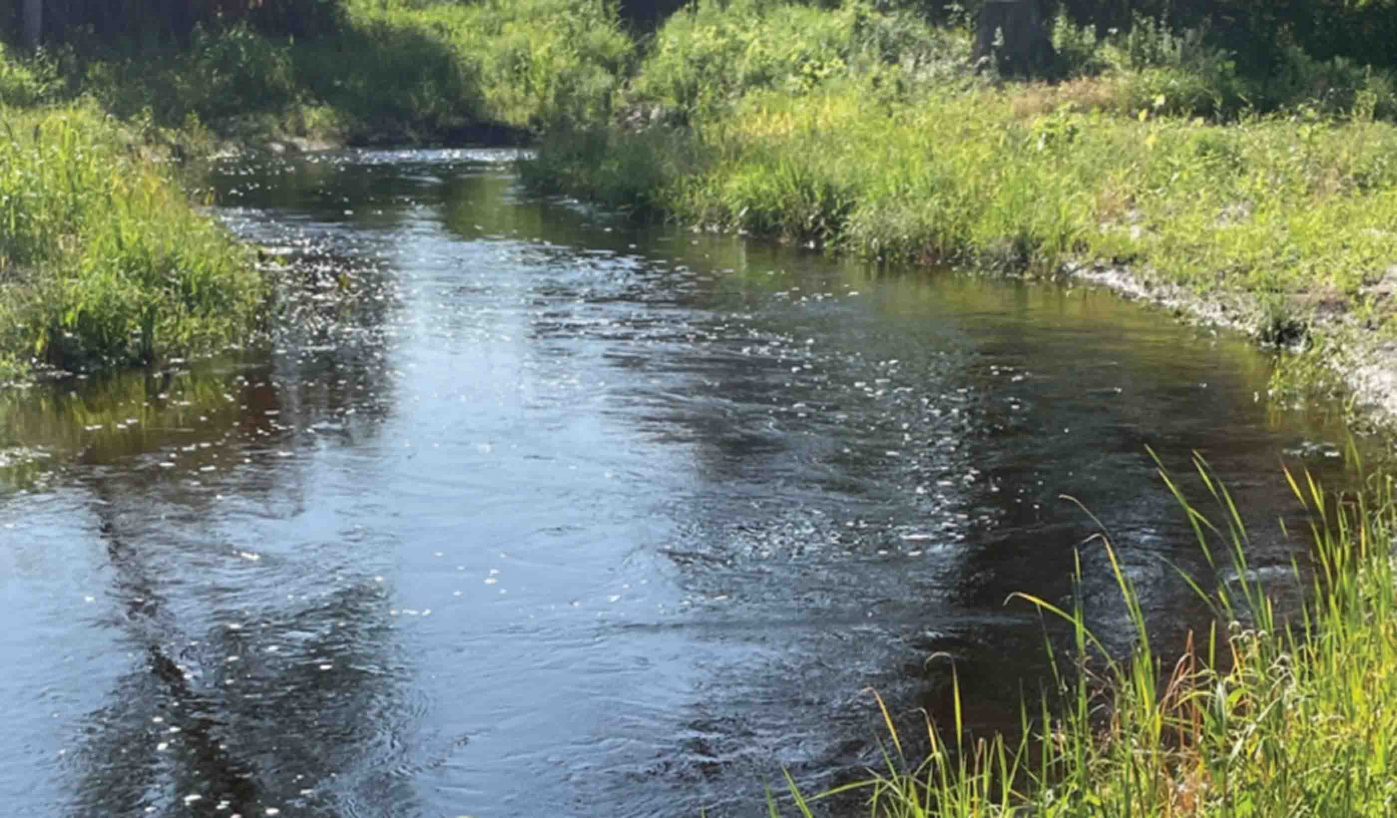 Collaboration makes rare mile-long stream restoration opportunity a reality