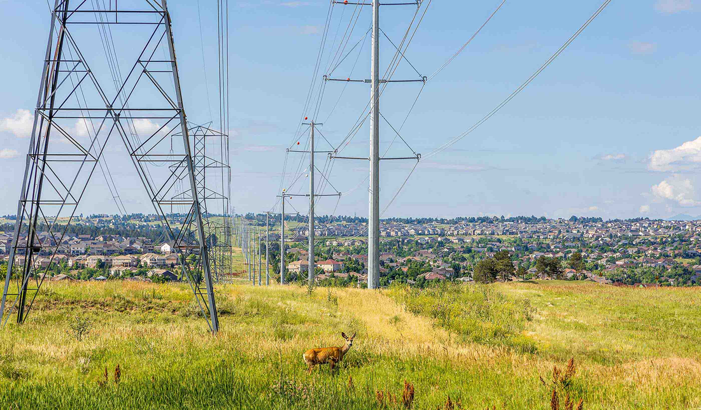 Unlocking efficiency: GIS tools modernize utility management