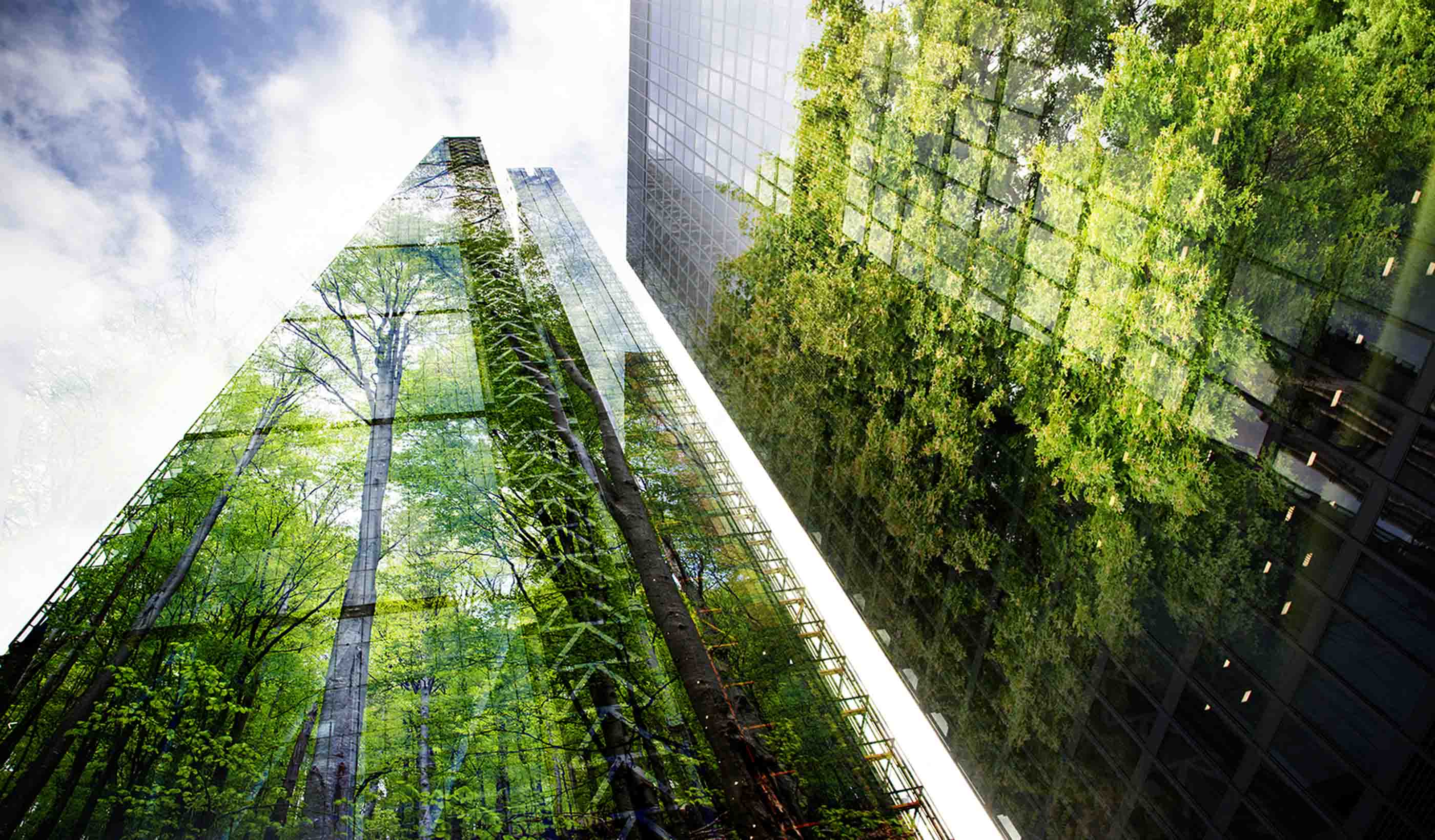 Innovative Insights: Impact of nature-based solutions in design and engineering